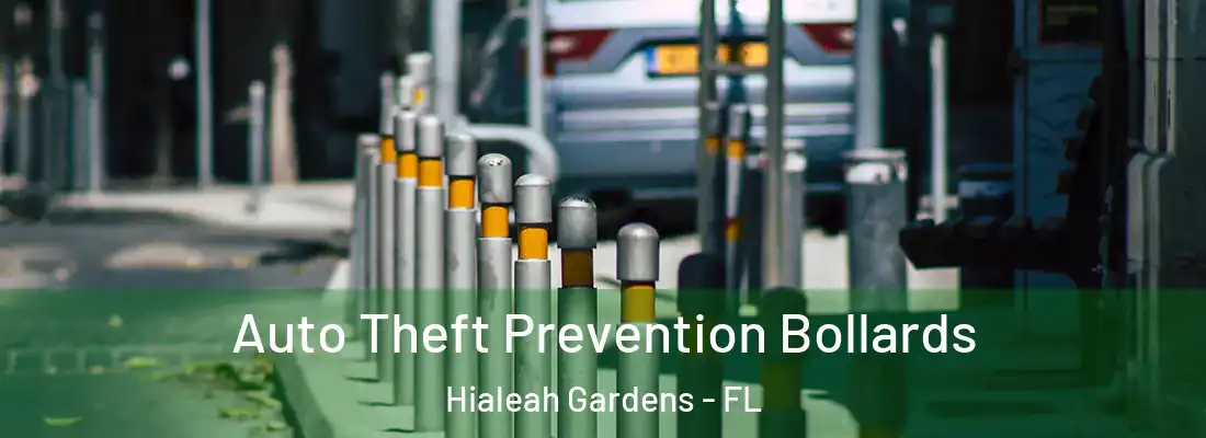 Auto Theft Prevention Bollards Hialeah Gardens - FL
